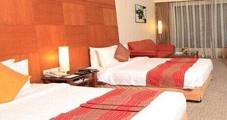 Hotel Mam, Chittorgarh 2